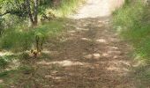 Percorso Marcia Saint-Nectaire - LES GROTTES DE CHATEAUNEUF DEPUIS LE CAMPING DU VIGINET - Photo 8