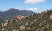 Tour Wandern Saint-Raphaël - Pic de l'ours et pic d'Aurelle - Photo 4