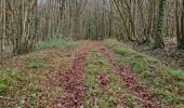 Tocht Stappen Villedômer - Villedomer - Étang de l'Arche - Photo 12