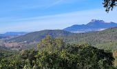 Tour Wandern Hyères - N3 1er Borrel les mimosas sentier Philibert - Photo 5