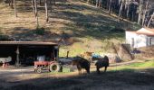 Trail Walking Allauch - Mont Julien  - Photo 1