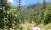 Trail Walking Puy-Saint-Eusèbe - canal de reyssas jusqu'aux Touisses / retour par le GR Serre-Ponçon via ravin de la pisse  - Photo 9