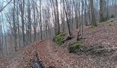 Trail Walking Theux - tancremont . la Tourette . les Mazures . chalsèche . forgé thiry . anc fort  - Photo 11