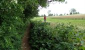 Trail On foot Genappe - #200523 - Loncée, Vallée de la Haute Dyle et Houtain*** - Photo 3