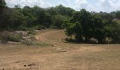 Trail Trail Sainte-Anne - Belle fond - Photo 1