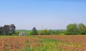 Tocht Stappen Nijvel - Balade à Monstreux - Nivelles - Photo 11