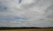 Trail Walking Mesnil-en-Ouche - 20220610-Beaumesnil - Photo 7