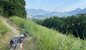 Trail Walking Claix - Colline de Comboire - Photo 14