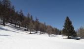 Tocht Sneeuwschoenen Montricher-Albanne - Albanne - les Arpons - Photo 1