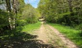 Randonnée Marche Valencisse - Valencisse-Molineuf - Circuit de Coquine - Photo 8