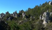 Trail Walking La Roquebrussanne - la roquebrussanne - Photo 10