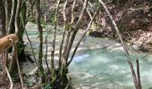 Trail Walking Nans-les-Pins - De Nans les pins vers les sources de l'Huveaune - Photo 6