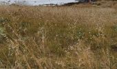 Randonnée Marche Trégunc - Boucle depuis la pointe de Trevignon - Photo 16