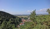 Tour Zu Fuß Wirsberg - FrankenwaldSteigla Goldener-Falk_Weg - Photo 4