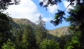 Trail Horseback riding Stosswihr - 2018-08-26 Picnic CVA Cascades Stosswihr - Photo 1