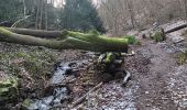 Tocht Stappen Luik - autour du jardin et de l institut botanique - Photo 12