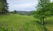 Tour Wandern Paliseul - Our Opont 090524 - Photo 12