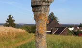 Tour Zu Fuß Gemeinde Waldhausen - Schafweidestreit 81 - Photo 4