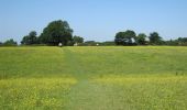 Trail On foot Wirral - Parkgate Walk - Photo 5