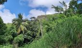 Tour Wandern Le Vauclin - Boucle Montagne Vauclin - Photo 2