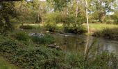 Trail Walking Saint-Céneri-le-Gérei - Saint ceneri - Photo 16