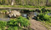 Randonnée Marche Boulogne-Billancourt - Le bois de Boulogne - Photo 9