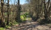 Randonnée Marche Boursay - Boursay - Le Moulin des Gaults - Photo 12