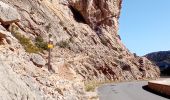 Randonnée Marche Duilhac-sous-Peyrepertuse - 7eme étape sentier cathare  - Photo 9