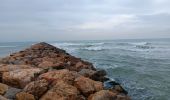 Trail Walking Canet-en-Roussillon - st cyprien, entre mer et étang  - Photo 16