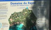 Tocht Stappen Cavalaire-sur-Mer - Cavalaire 2  - Photo 15