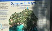 Trail Walking Cavalaire-sur-Mer - Cavalaire 2  - Photo 15