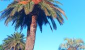Trail Walking Saint-Cyprien - jardin des plantes de Saint cyprien  - Photo 2