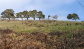 Tour Wandern Champdieu - Randonnée sur les hauteurs de Champdieu  - Photo 12