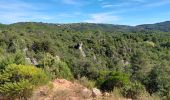 Tour Wandern Carlencas-et-Levas - Carlencas  - Photo 1