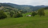 Excursión Bici de montaña Orbey - Les Balcons d'Orbey (version courte) - Photo 6