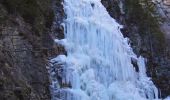 Tour Zu Fuß Plaffeien - Schwarzsee Bad Seeweid - Patraflon - Photo 3