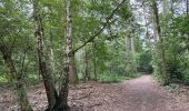 Trail Walking Sint-Gillis-Waas - De Klinge 21,9 km - Photo 3