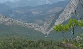 Trail Walking Castellane - Col des lèques - Cadières de branlis - Photo 17