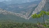 Percorso Marcia Castellane - Col des lèques - Cadières de branlis - Photo 17