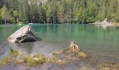 Tour Wandern Les Houches - Gorges Diosaz, Lac Vert  - Photo 1