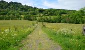 Trail Walking Albepierre-Bredons - Cantal - Albepierre - les Cascades - 9.6km 330m 3h25 - 2019 06 23 - Photo 5