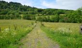 Percorso Marcia Albepierre-Bredons - Cantal - Albepierre - les Cascades - 9.6km 330m 3h25 - 2019 06 23 - Photo 5