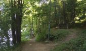 Trail Walking Bütgenbach - Around the lake of Butgenbach - Photo 2