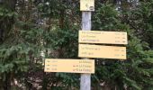 Trail Walking Les Déserts - Mont Revard - Féclaz en boucle - Photo 4