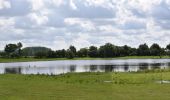 Tour Wandern Eijsden-Margraten - 20240523 - Balade ornithologique Oost Maarland - 2.2 Km - Photo 11