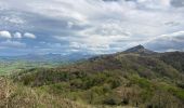 Tocht Stappen Sare - Palombieres lizerieta variante  - Photo 4