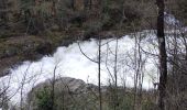 Excursión Senderismo Prévenchères -  Gorges de Chassezac - Photo 18