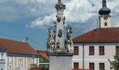 Tour Zu Fuß Leopoldschlag - Töpferweg - Photo 8