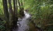 Tour Wandern Manhay - Erezée - Circuit Natura 2000 