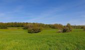 Randonnée Marche Lobbes - Balade à Mont-Sainte-Geneviève - Photo 5